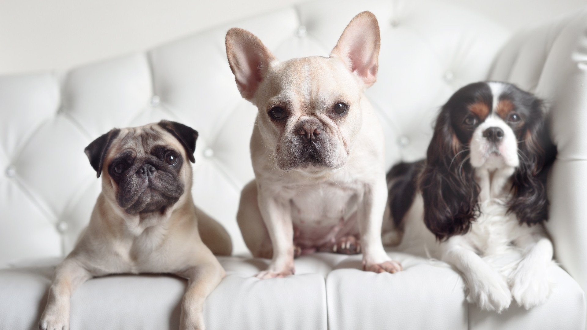 中国射击队新老交替迎战国际赛场,中国射击队最新选拔赛