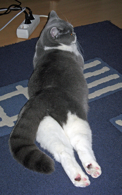 压哨战术布置的空间选择优先级，压哨ko